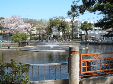 清水池公園の画像1