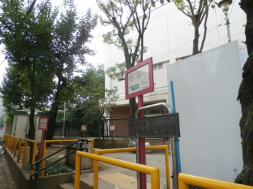 若羽児童遊園地の画像1