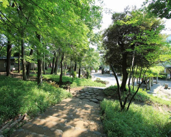 大田区立宝来公園の画像1