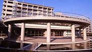 西原せせらぎ公園の画像1