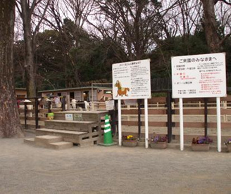 代々木ポニー公園の画像1