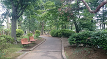 駒沢緑泉公園