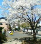 二軒家ゆるさと公園の画像1