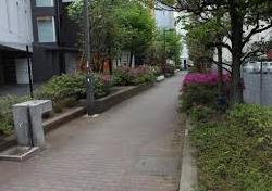 幡ヶ谷駅前公園の画像1