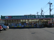 ドラッグセイムス 久喜店