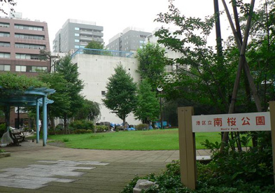 南桜公園の画像1