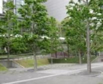 杜の公園の画像1