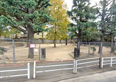 中村公園の画像1