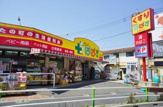 どらっぐぱぱす 板橋徳丸店