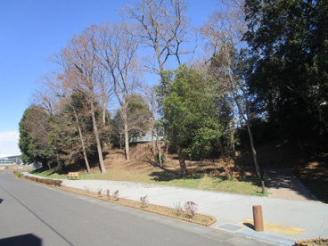 下野田緑地の画像1