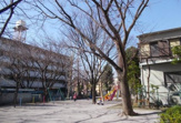 北糀谷一丁目公園