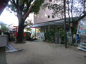 幼稚園 杭瀬幼稚園