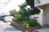 幼稚園 立花東幼稚園