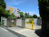幼稚園 立花幼稚園