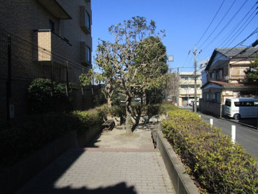 太田窪新田公園の画像1