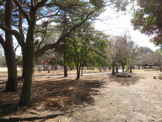 御幸公園