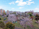 大島小松川公園の画像