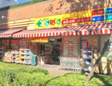 どらっぐぱぱす 東日暮里リーデンスタワー店