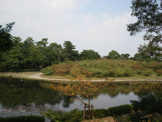公園 緑ケ丘公園