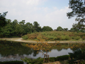 緑ケ丘公園