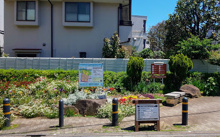 世田谷区立若林このてがしわ公園