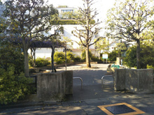 公園 世田谷区立若林五丁目公園
