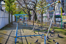 公園 本町南児童遊園地