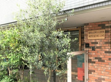 コミュニテイハウス保育室ポッポ