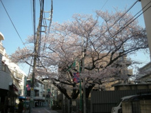 渋谷区立十三号通り公園