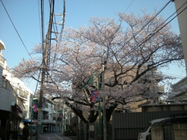 渋谷区立十三号通り公園の画像1