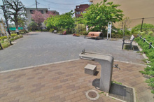 世田谷区立桜上水しいの木公園