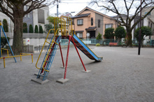 公園 中野区立いちょう公園