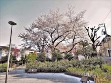 公園 中野区立上町公園