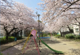 旧呑川緑地