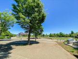 杉並区立桃井原っぱ公園