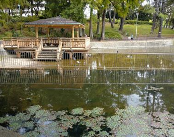 桃山公園の画像1