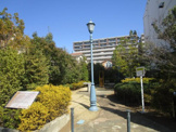 公園 向田ミニパーク