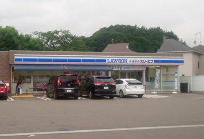 ローソン・スリーエフ 下麻生店の画像1