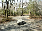 多摩川緑地福生加美上水公園