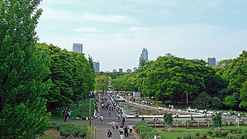代々木公園の画像1