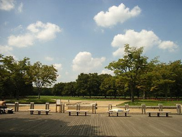 代々木公園の画像2