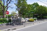 公園 梅の木公園