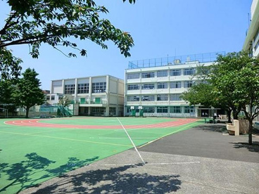 入新井第五小学校の画像1