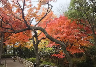 蘇峰公園の画像1