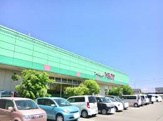 トミダヤ 巣南店