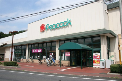 ピーコックストア 国立弁天通り店の画像1