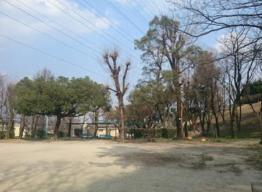 ねむのき公園の画像1