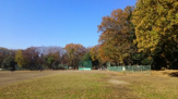 滝山公園
