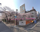 目黒川（桜並木）の画像
