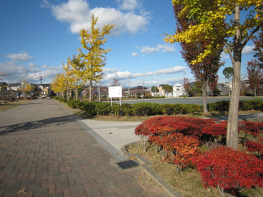 半田公園の画像5